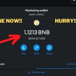 Multiply Your BNB: Easy Methods to Earn Free BNB Using SmartFarm